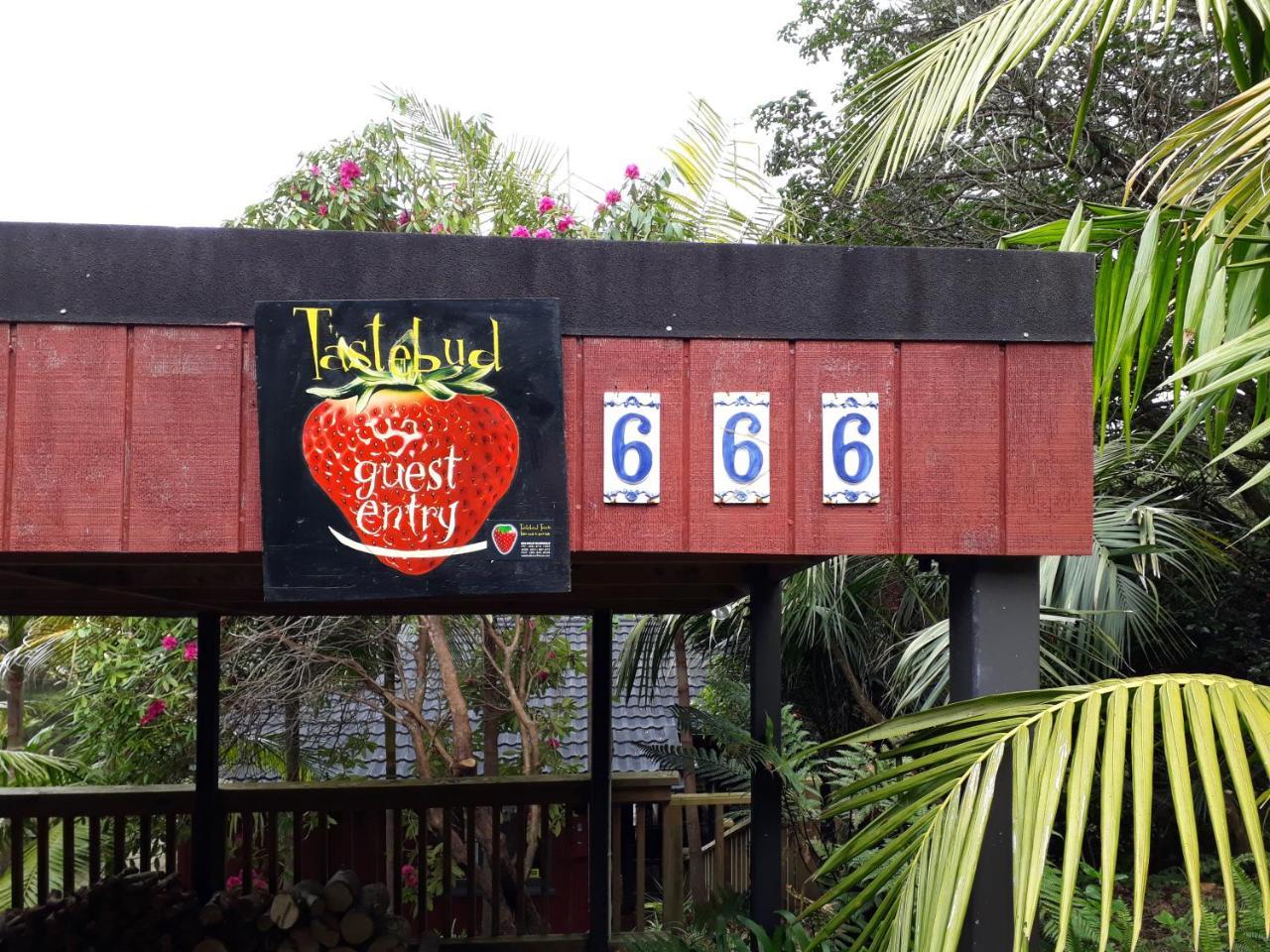 Tastebuds Bed N Breakfast Auckland Exterior foto